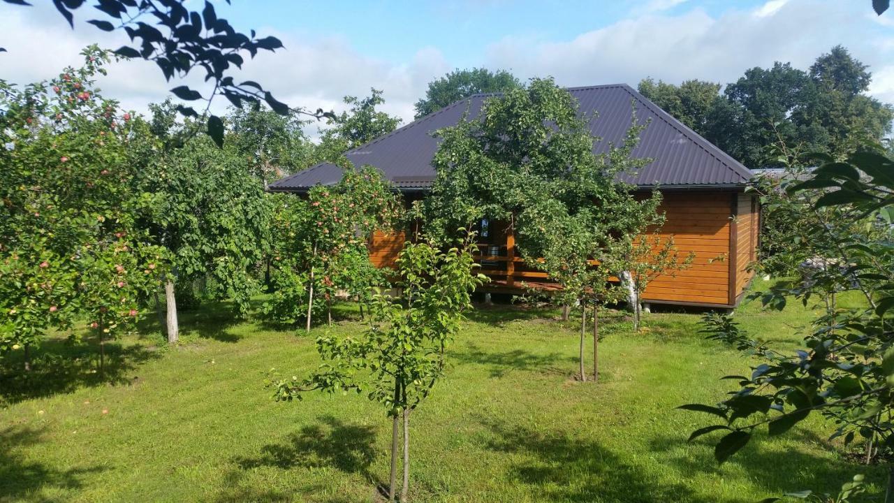 Vasarnamis Zarasuose Villa Zarasai Luaran gambar