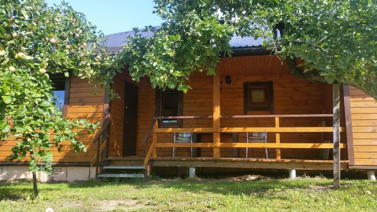Vasarnamis Zarasuose Villa Zarasai Luaran gambar